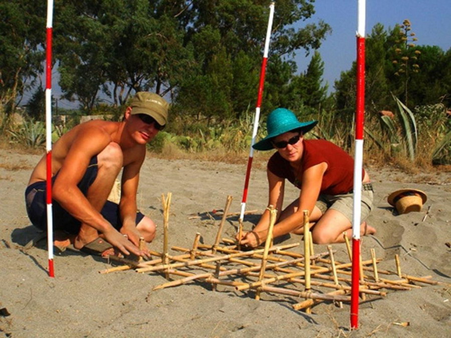  Kornjače CarettaCaretta 